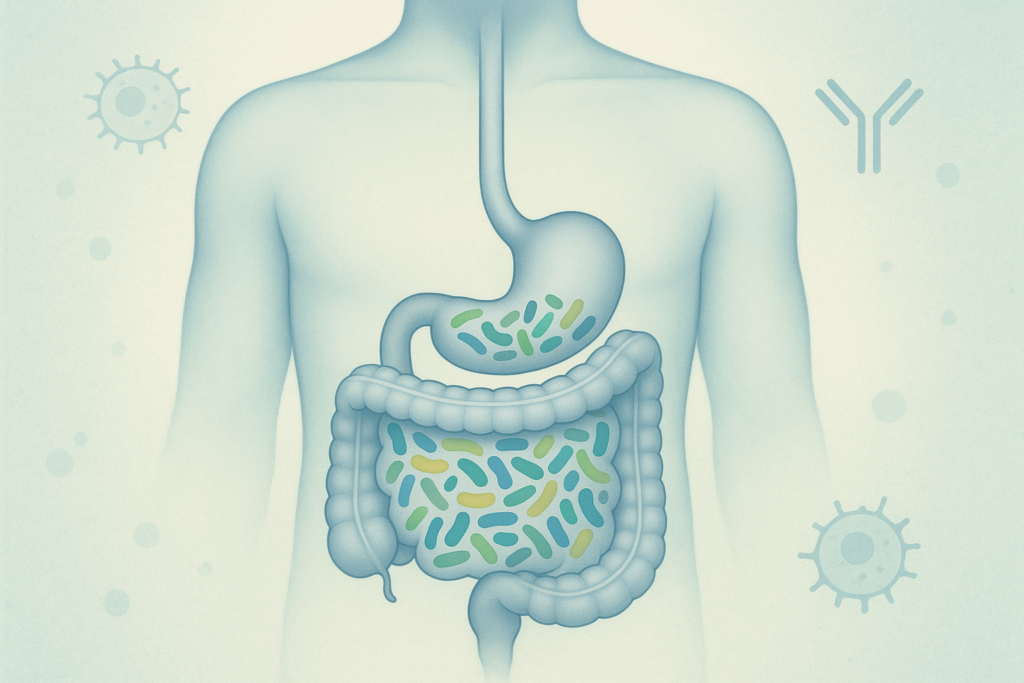 The Gut Inflammation Connection and How to Support a Balanced Microbiome